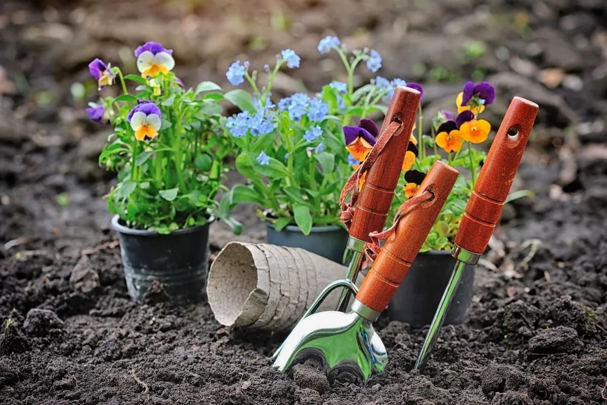 Il giardinaggio costa caro! 10 consigli per coltivare il giardino con un budget limitato!