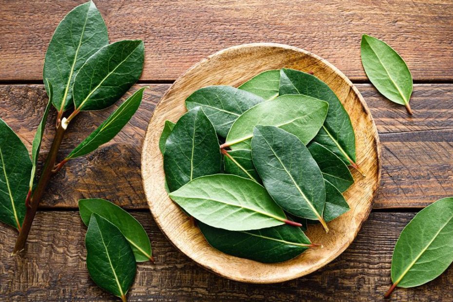 Addio a mosche e zanzare in estate con il semplice trucco della foglia di alloro dietro la porta