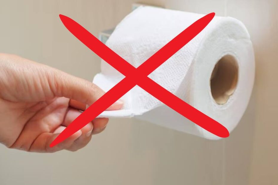 Addio carta igienica: il metodo semplice con il wc elettrico che sta cambiando il bagno