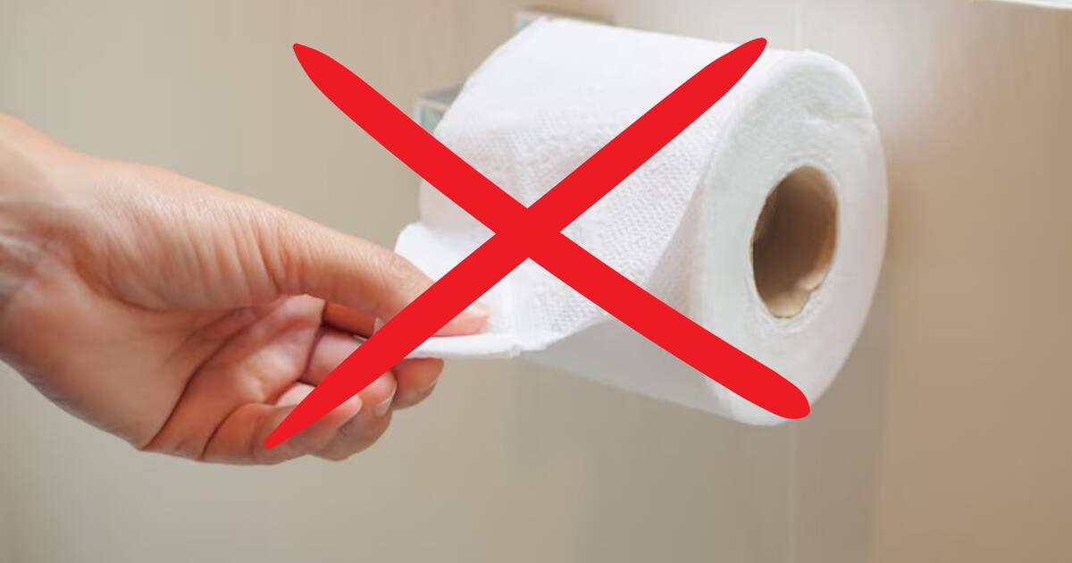 Addio carta igienica: il metodo semplice con il wc elettrico che sta cambiando il bagno