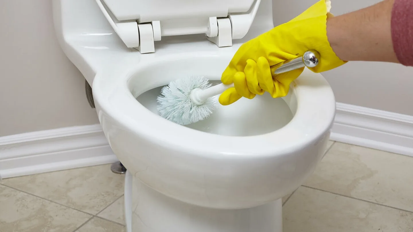 Addio cattivi odori in bagno: il trucco semplice con piattino che quasi nessuno conosce