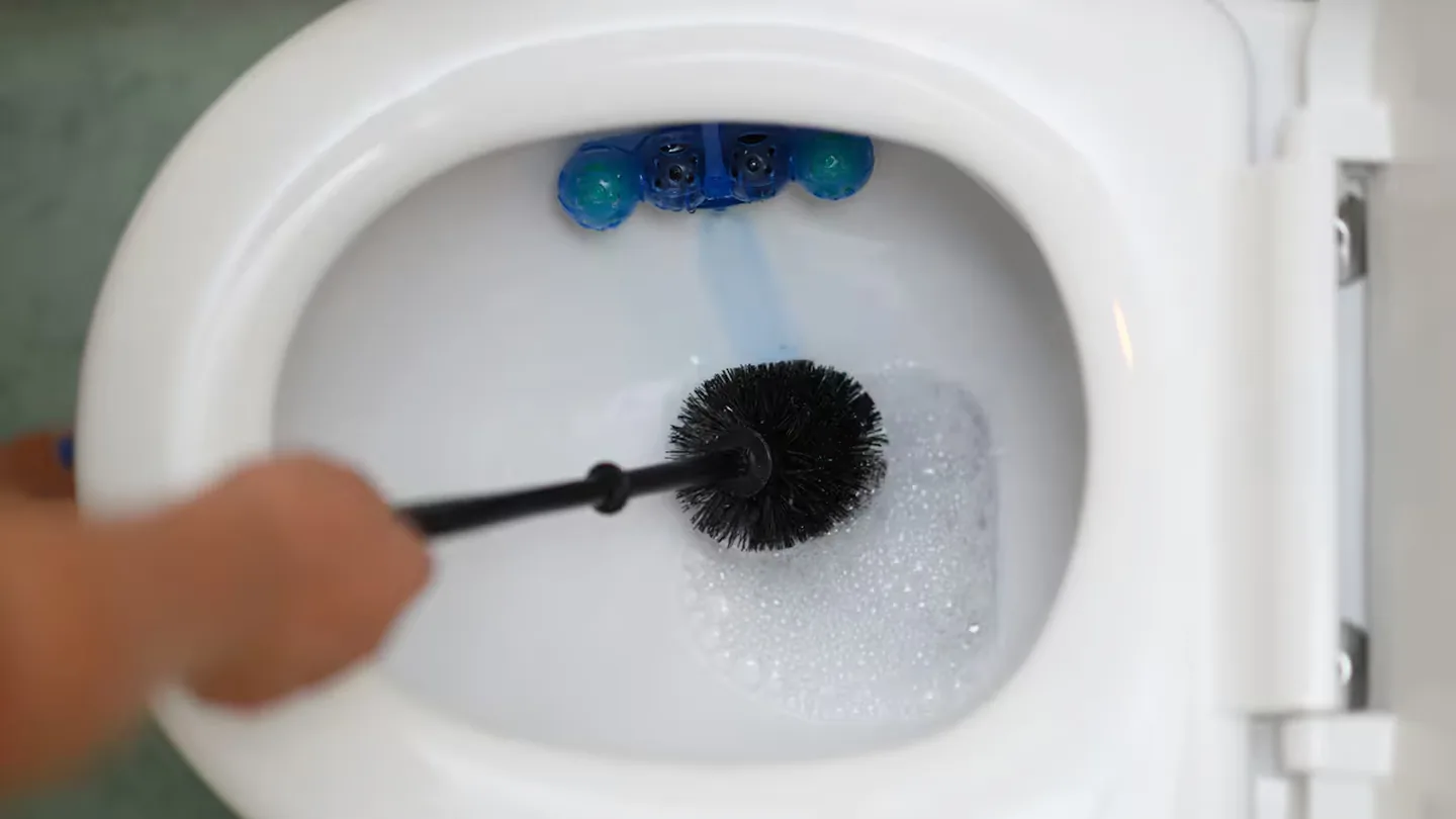 Bagno più igienico subito: l’errore sulla scopetta wc che fa moltiplicare i batteri e il semplice rimedio