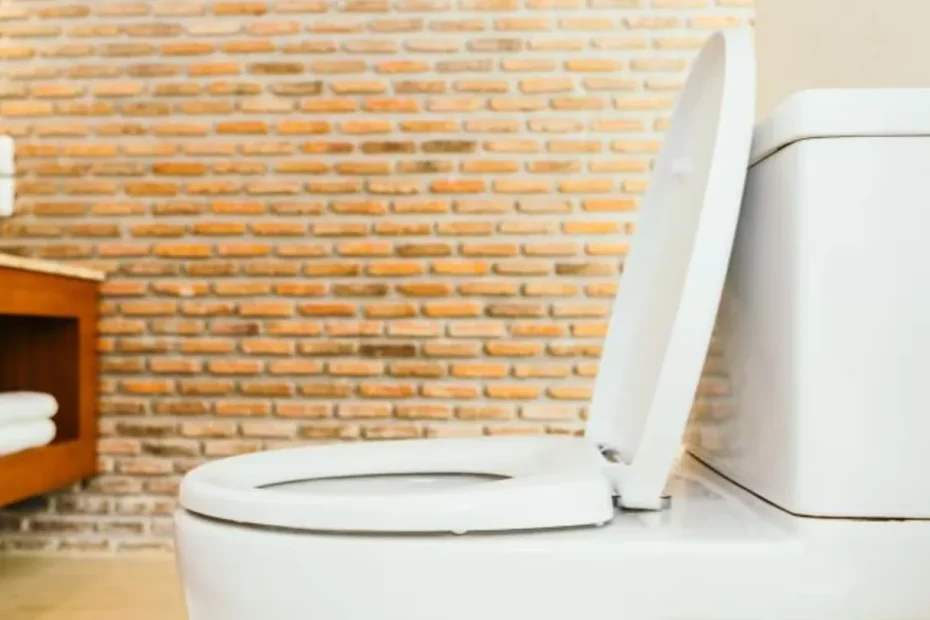 Bagno senza cattivi odori: il semplice trucco del sale nel wc che migliora pulizia e scarico