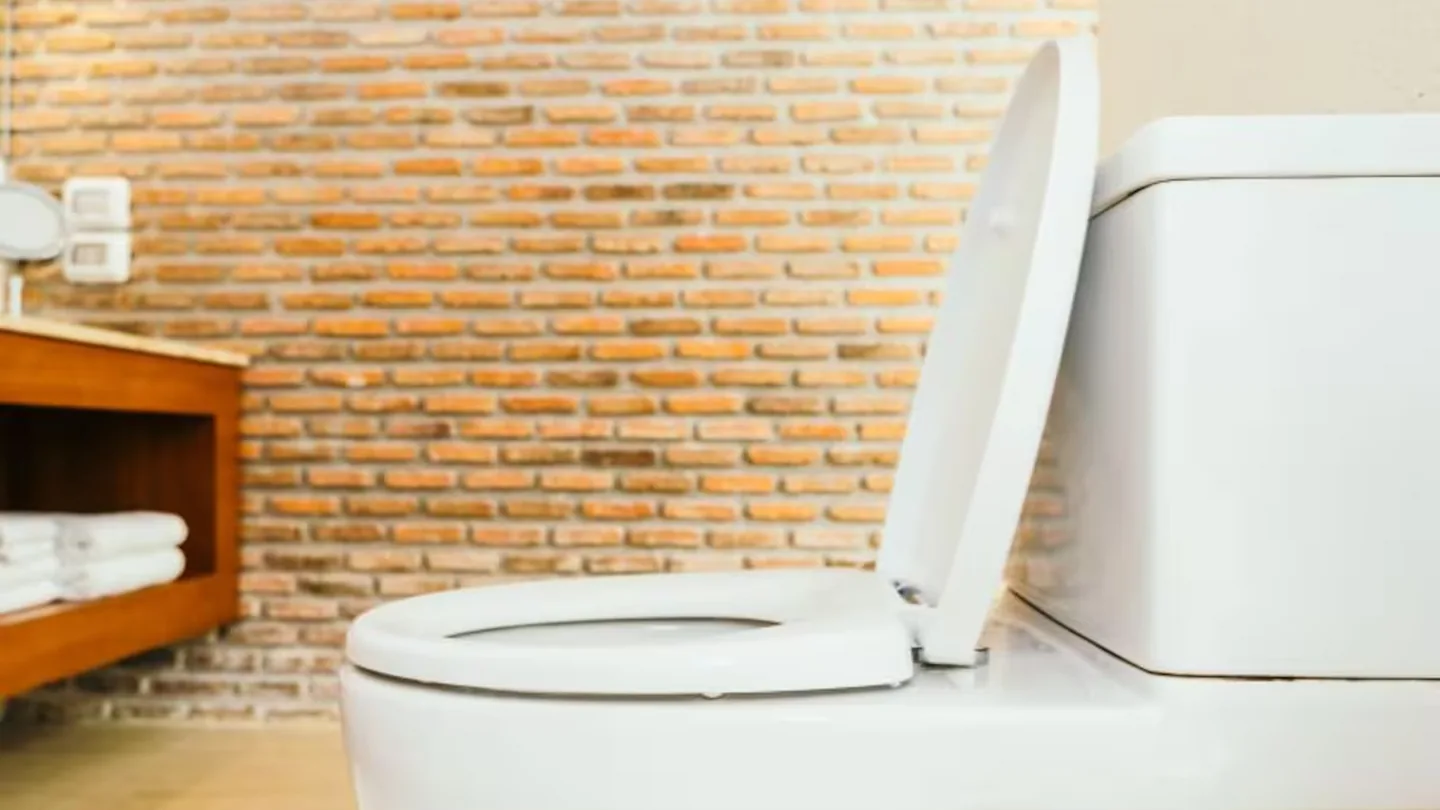 Bagno senza cattivi odori: il semplice trucco del sale nel wc che migliora pulizia e scarico