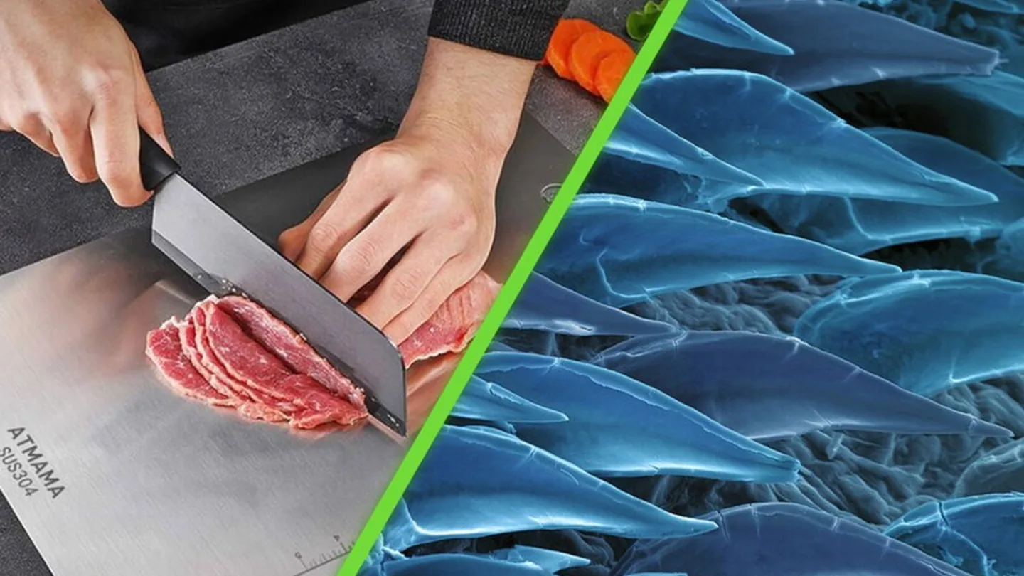 Cucine più igieniche con meno chimica: il metodo ispirato alla pelle degli squali contro i microbi