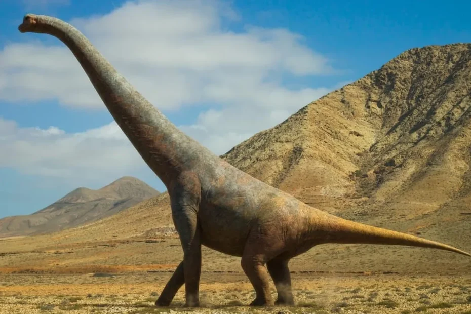 Dinosauro gigante di 28 metri scoperto in Cina: cosa rivela davvero questo colosso del Giurassico