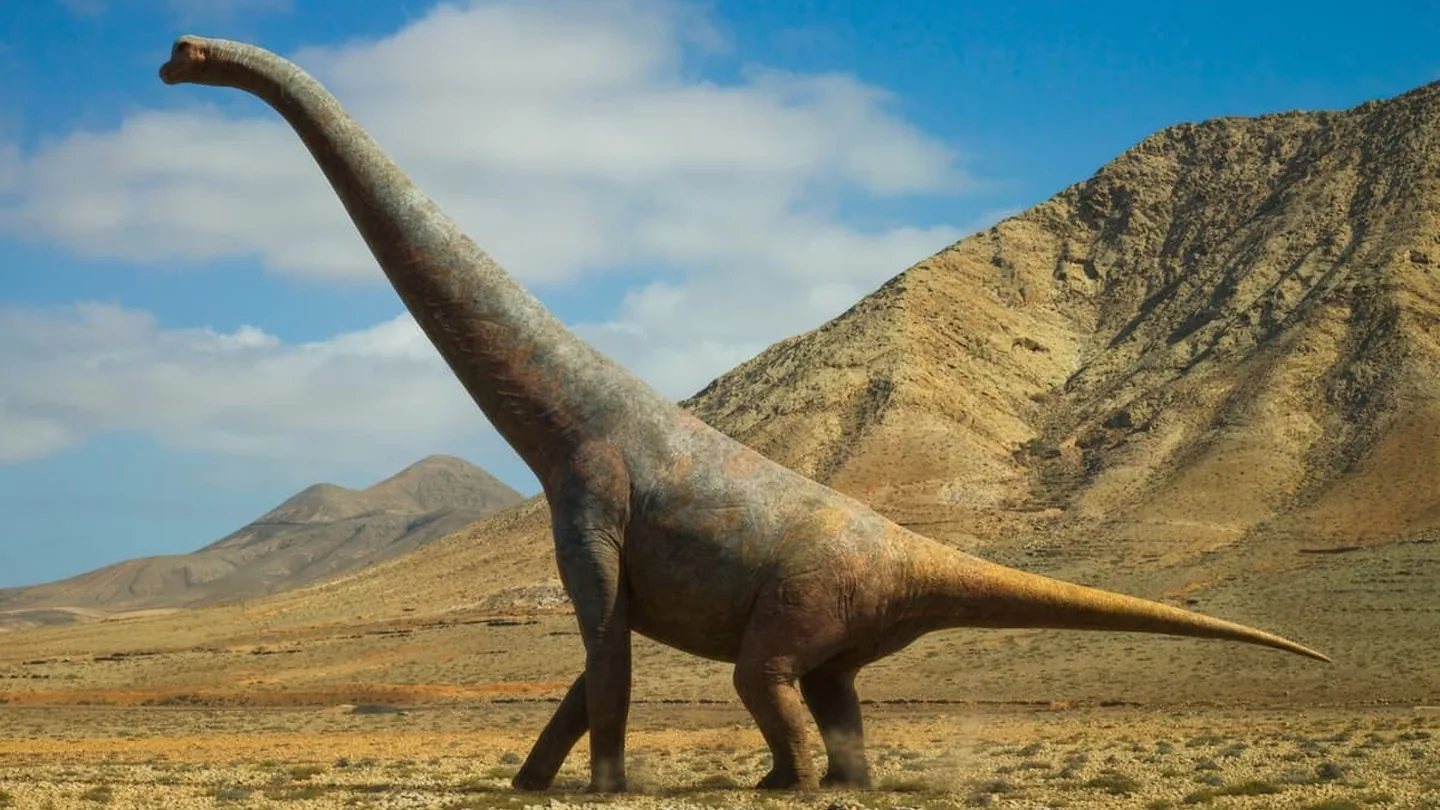 Dinosauro gigante di 28 metri scoperto in Cina: cosa rivela davvero questo colosso del Giurassico