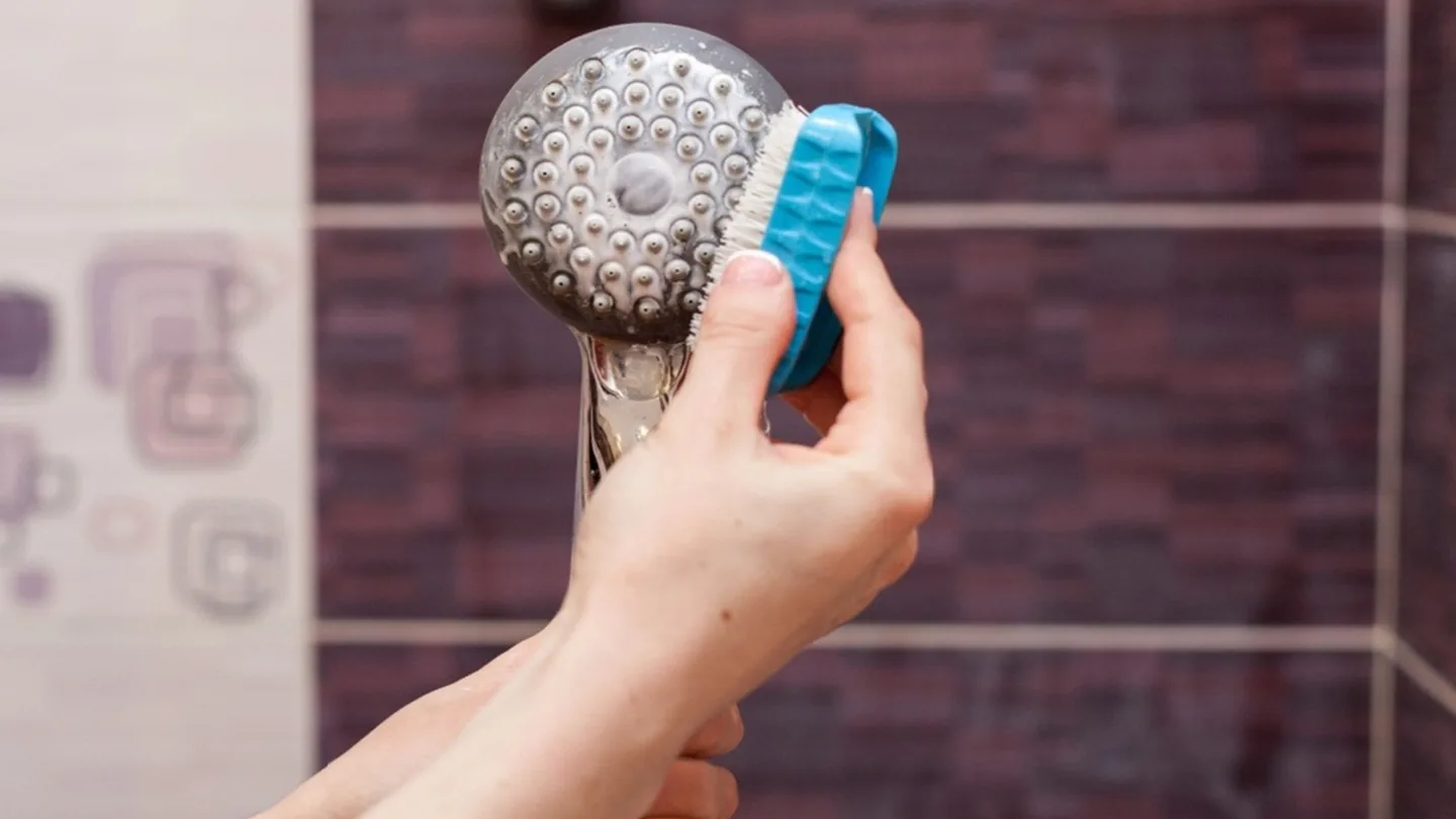 Doccia sempre brillante in pochi minuti: il metodo semplice che fa davvero la differenza