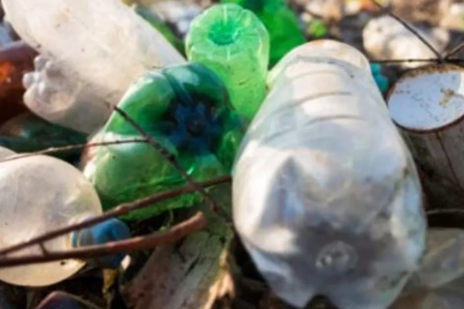 Giornata mondiale dell'ambiente – la lotta contro l'inquinamento da plastica e le abitudini per cambiare il futuro