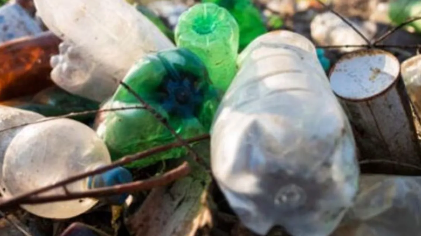 Giornata mondiale dell'ambiente – la lotta contro l'inquinamento da plastica e le abitudini per cambiare il futuro