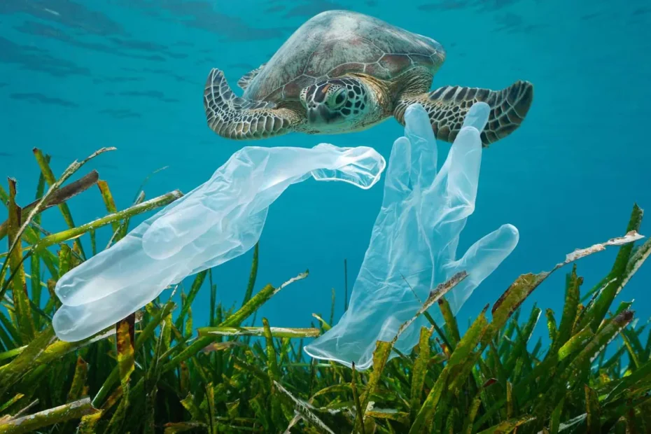 La plastica nell'oceano: cause, conseguenze e come possiamo arginarla