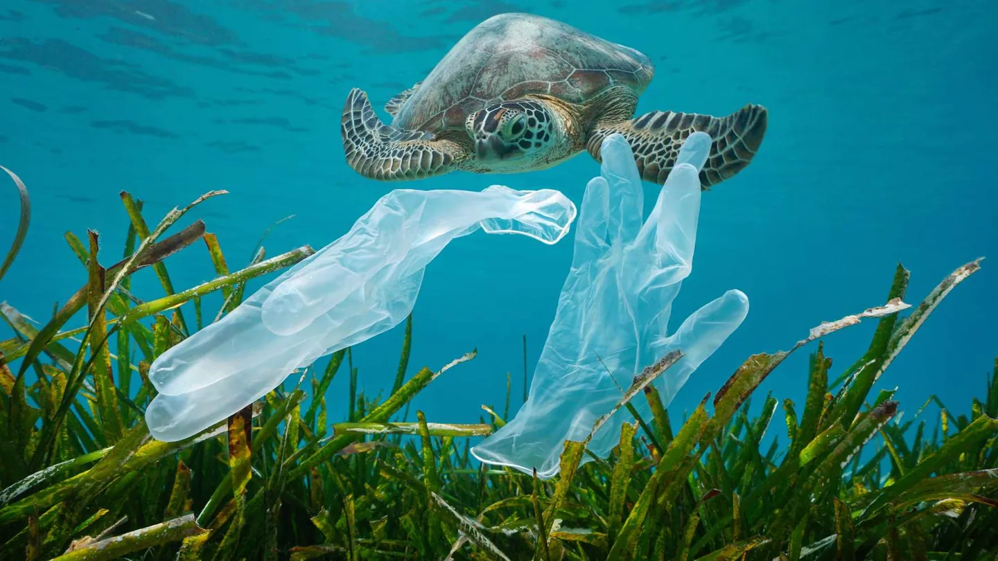 La plastica nell'oceano: cause, conseguenze e come possiamo arginarla