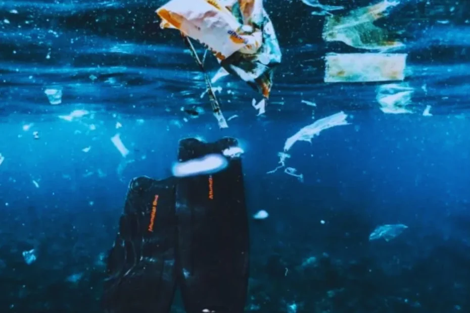 Plastica ridotta davvero: il fungo marino che la degrada e il metodo che potrebbe cambiare tutto