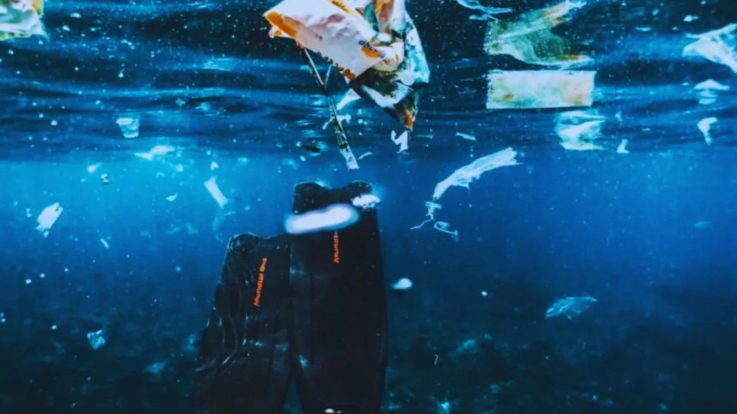 Plastica ridotta davvero: il fungo marino che la degrada e il metodo che potrebbe cambiare tutto