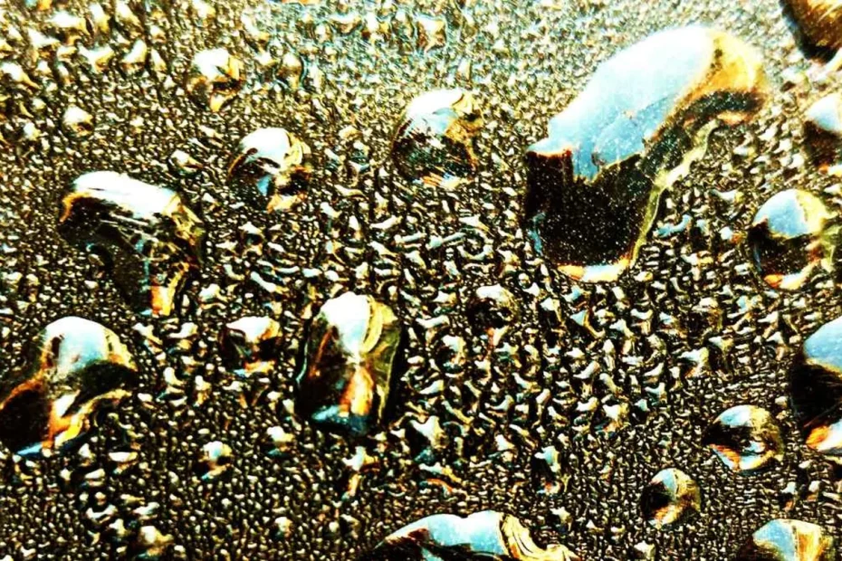 Scopre 50 tonnellate d’oro nel suo terreno ma non può toccarle: la regola nascosta che blocca il tesoro