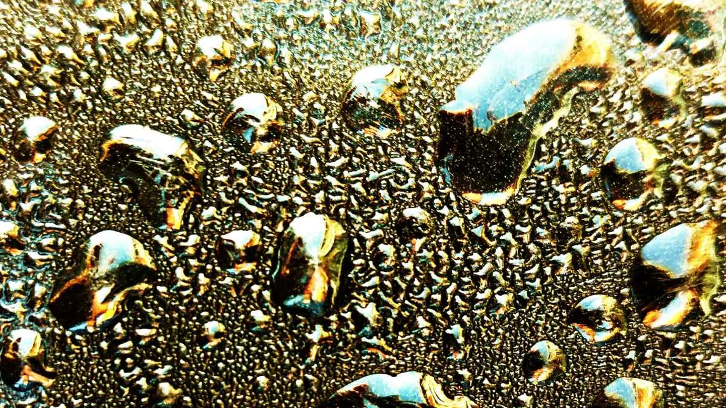 Scopre 50 tonnellate d’oro nel suo terreno ma non può toccarle: la regola nascosta che blocca il tesoro