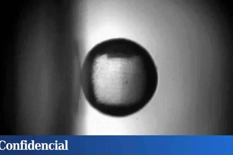 Sembra una semplice palla attaccata a una parete, ma si tratta di una pietra miliare scientifica senza precedenti che ha infranto le leggi della fisica