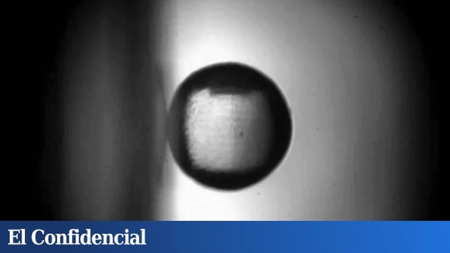 Sembra una semplice palla attaccata a una parete, ma si tratta di una pietra miliare scientifica senza precedenti che ha infranto le leggi della fisica