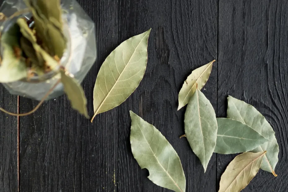 Sonno più sereno e mente calma: il semplice rito con l’alloro sotto il cuscino