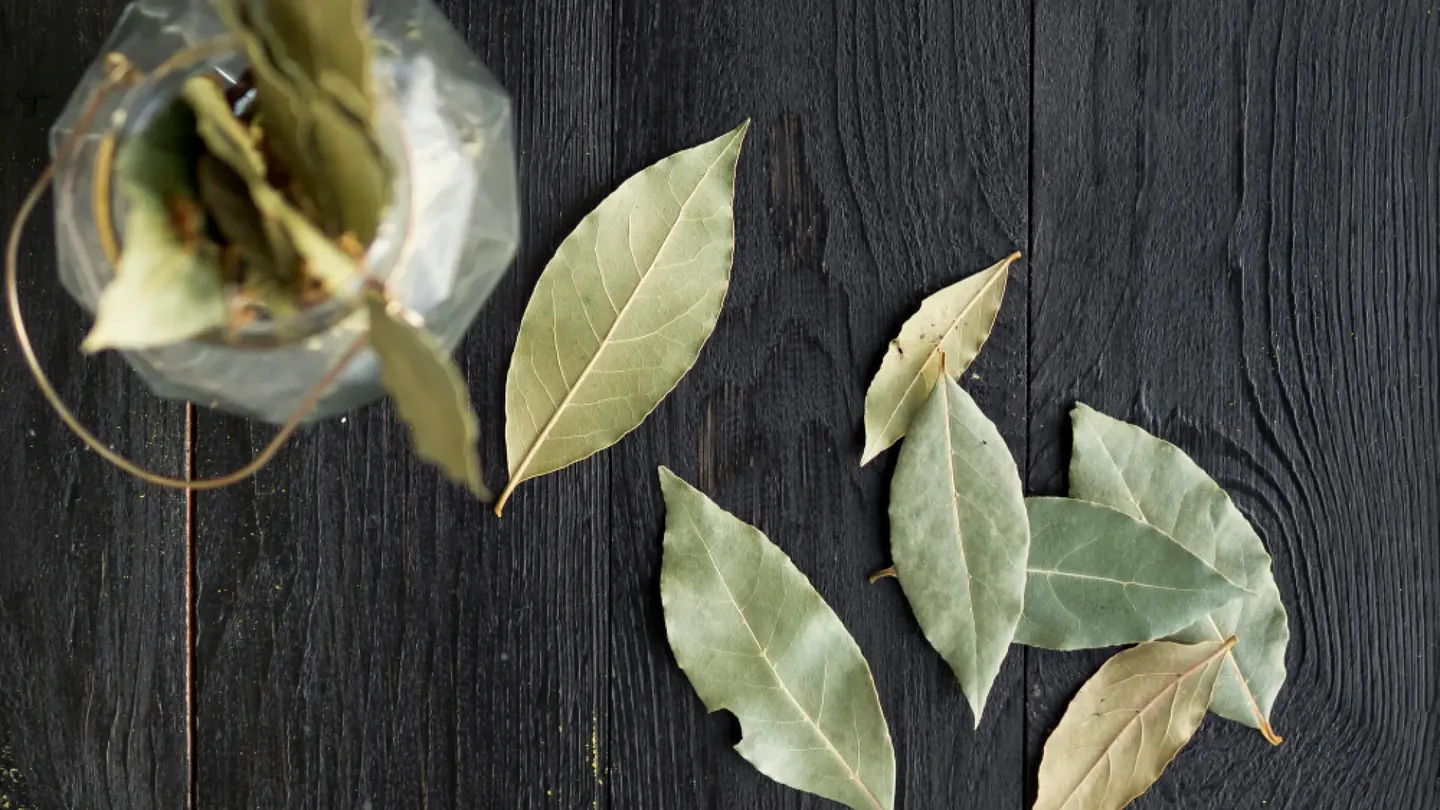 Sonno più sereno e mente calma: il semplice rito con l’alloro sotto il cuscino