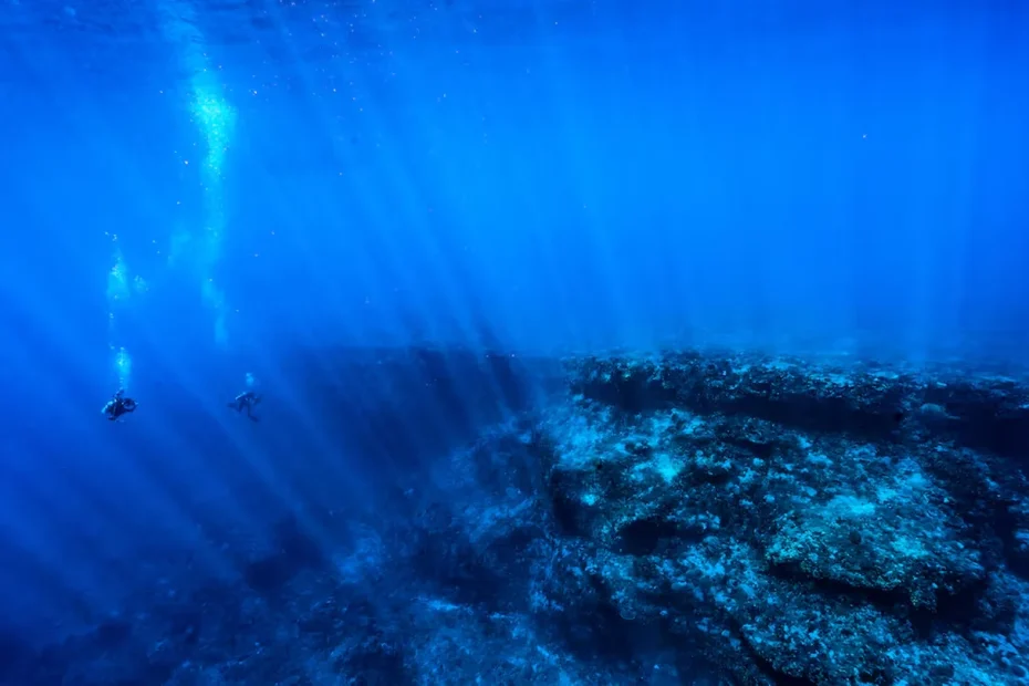 Straordinaria scoperta in mare: 1.300 «anelli» di 20 metri che lasciano sbalordita la comunità scientifica