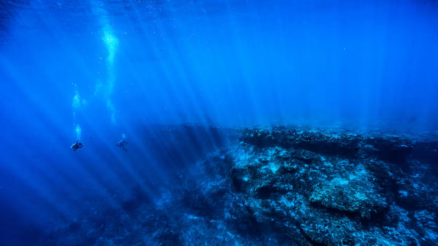 Straordinaria scoperta in mare: 1.300 «anelli» di 20 metri che lasciano sbalordita la comunità scientifica
