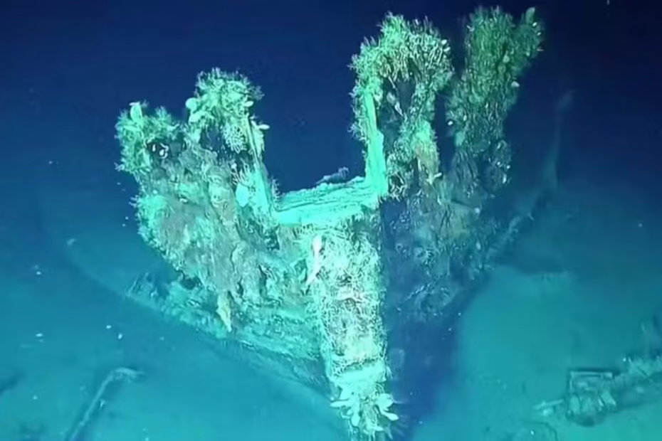 Tesori riemersi dal “Santo Graal dei naufragi”: cosa rivela il recupero del galeone San José