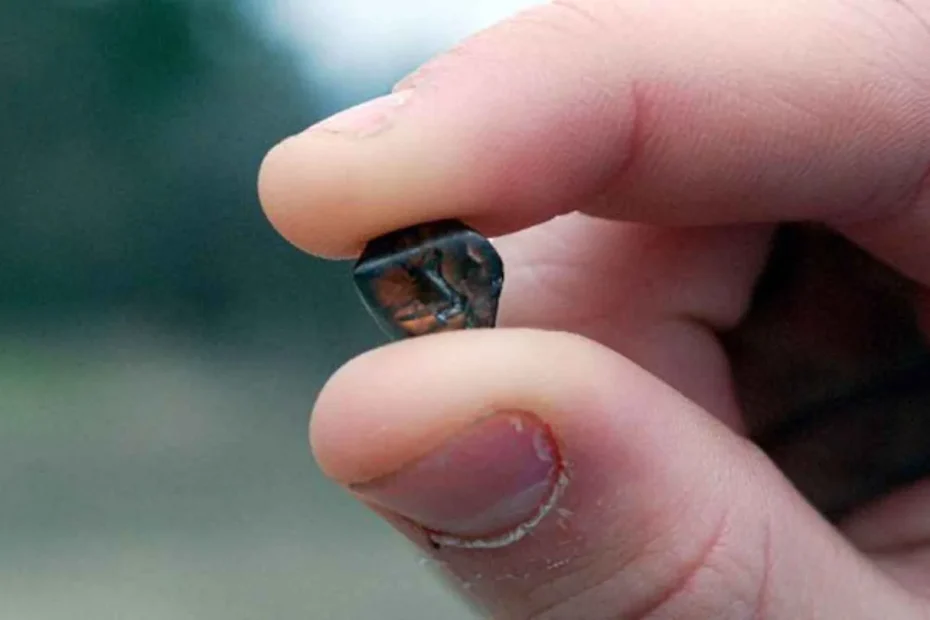 Un uomo in visita in un parco nazionale trova un diamante da 7,46 carati e diventa milionario – «Sono così felice!»