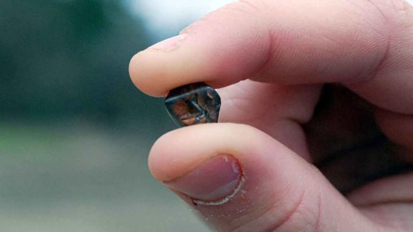 Un uomo in visita in un parco nazionale trova un diamante da 7,46 carati e diventa milionario – «Sono così felice!»